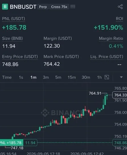 BNB Futures Profit Proof (+151%) - CryptoSphere Audited Signal Setup