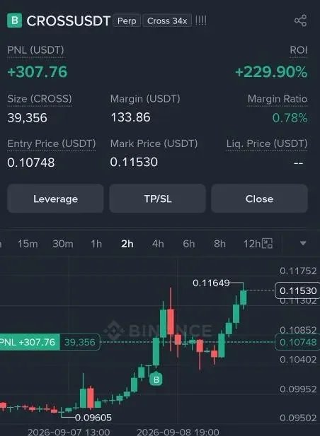 CROSS Futures Profit Proof (229%) - CryptoSphere Audited Signal Setup