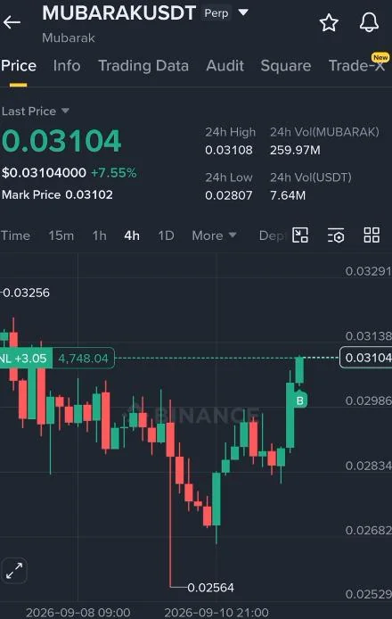 MUBARAK Futures Setup Chart - Signal #MUBARAK31769505