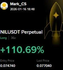 NIL Futures Profit Proof (+110%) - CryptoSphere Audited Signal Setup