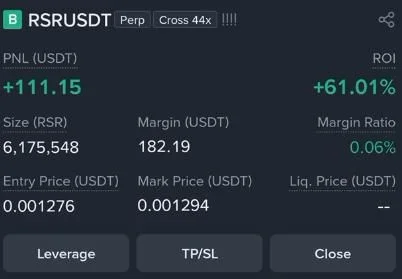 RSR Futures Profit Proof (+60%) - CryptoSphere Audited Signal Setup