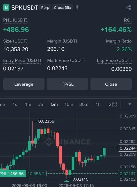 SPK Futures Profit Proof (+164%) - CryptoSphere Audited Signal Setup