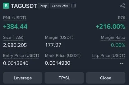 TAG Futures Profit Proof (+216%) - CryptoSphere Audited Signal Setup